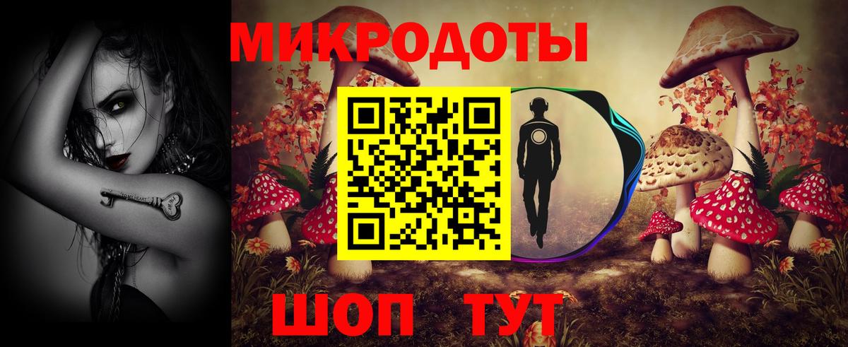 Лесной  Галлюциногенные грибы мухоморы  Вход с VPN 