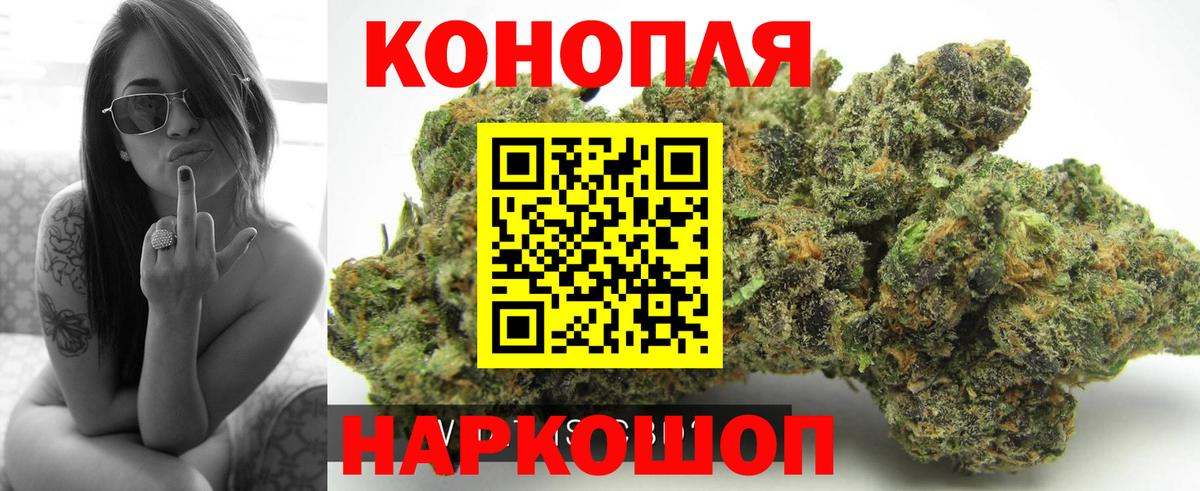 Бошки марихуана OG Kush Лесной